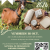 Fromagora 2026 - Les inscriptions au concours sont ouvertes