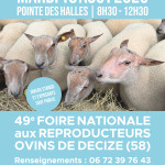 49ème Foire Nationale des Reproducteurs Ovins DE Decize (58)