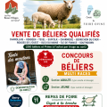 Grande journée du mouton – Vente de béliers qualifiés multi-races (36)