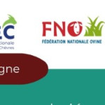 Questionnaire attractivité des métiers - chefs d'exploitation et salariés en élevage de ruminants