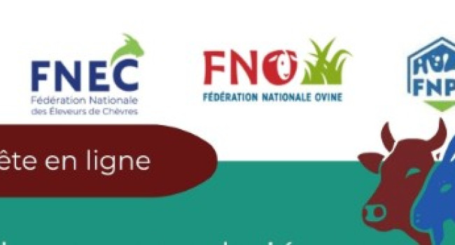 Questionnaire attractivité des métiers - chefs d'exploitation et salariés en élevage de ruminants