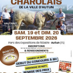 Concours de reproducteurs Charolais (71)