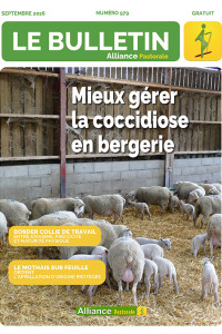 Bulletin de l'Alliance Pastorale N°979 - Septembre 2026