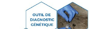 Un nouvel outil d’aide à la décision pour un meilleur contrôle  des rongeurs