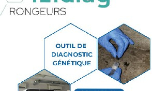 Un nouvel outil d’aide à la décision pour un meilleur contrôle  des rongeurs