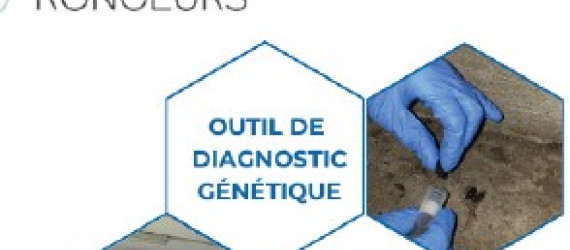 Un nouvel outil d’aide à la décision pour un meilleur contrôle  des rongeurs