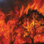 Incendies  Une forêt mieux  entretenue, un risque incendie mieux maîtrisé