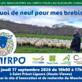 Journée technique ovine à la ferme du Mourier (87)