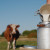 Conjoncture laitière   Septembre 2026 - Le prix de la poudre de lait écrémé augmente, profitant de la demande croissante pour les produits hyper-protéinés !