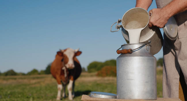 Conjoncture laitière   Septembre 2026 - Le prix de la poudre de lait écrémé augmente, profitant de la demande croissante pour les produits hyper-protéinés !