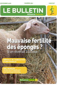 Bulletin de l'Alliance Pastorale N°981 - Novembre 2026